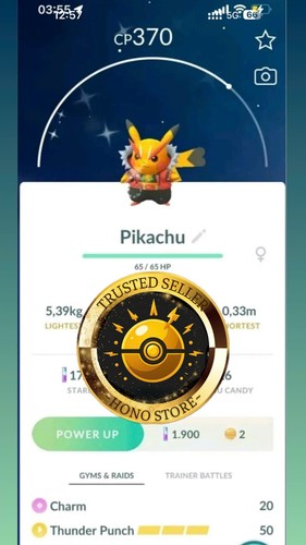 Pokémon shiny pikachu - g0,